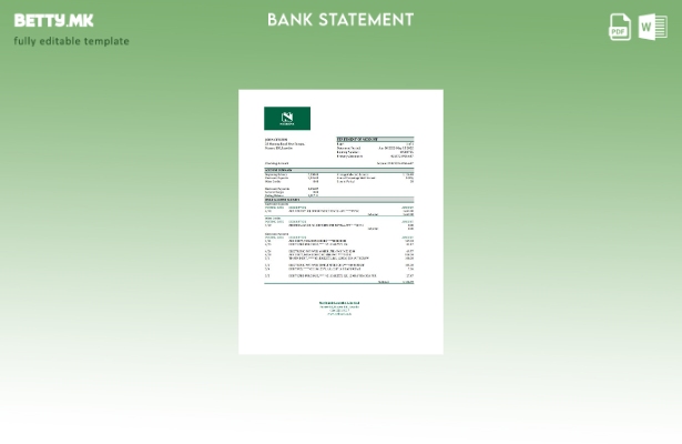 модерен стил шаблон за ексел изјава на Лесото Недбаанк